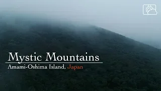 Mystic Mountains - Amami-Oshima Island, Japan（ドローン空撮 4K）