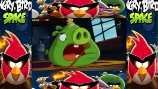 Angry Birds Toon Episode 31 Tooth Royal