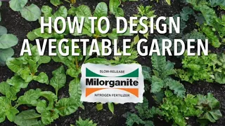 How to Design a Vegetable Garden