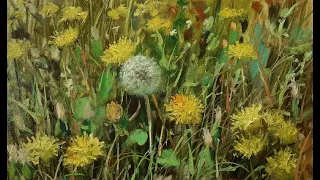 Одуванчики  Dandelions  Vugar Mamedov