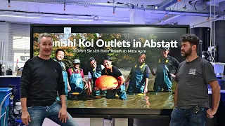 Konishi Koi News - Unsere Konishi Koi Outlets starten dieses Jahr Mitte April