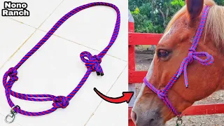 Como Hacer una JÁQUIMA PARA CABALLO👌