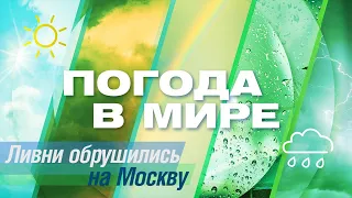 «Погода в мире» от 8 июля 2023