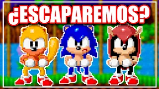 EL ORIGEN DE MIGHTY Y RAY (SegaSonic The Hedgehog)