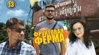 Первый раз на фруктовой ферме. Дуриан и другие экзотические фрукты