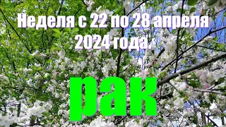 Неделя с 22 по 28 апреля 2024 года.РАК ♋️