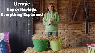 Hay or Haylage: Everything Explained