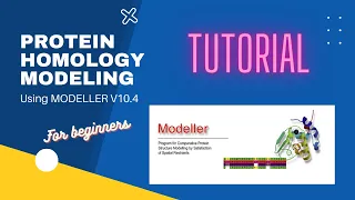 Protein Homology Modeling with Modeller 10.4 - For Beginners