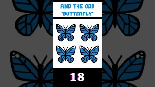 Find The Odd Butterfly Out 🔍l Insects Puzzle # 204 | Test Your Eyesight 👀