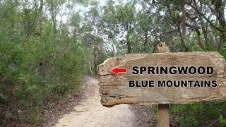 Yowie / Bigfoot Sighting (Audio Report #13) at Springwood, Blue Mountains, New South Wales