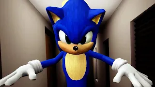 The Baby In Yellow Sonic New Baby is a Sonic the Hedgehog (how to get the Sonic the Hedgehog)