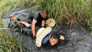 Rescuing One Young Man Attacked By Giant Snake | Fishing VLogs