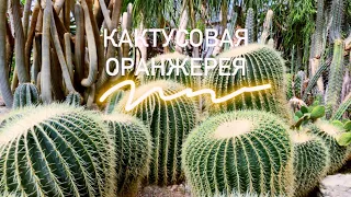 Никитский Ботанический сад|Кактусовая оранжерея|Что посетить в Крыму?4к.Крым.Ялта 2021