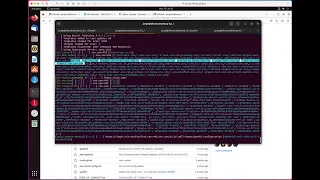 Nuclei Vulnerability scanner -  basic scans