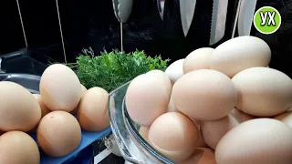 Три РЕЦЕПТА из яиц,которые стоит приготовить!