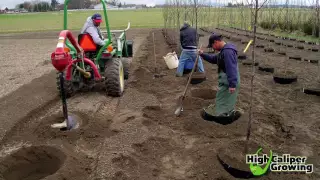 High Caliper Growing Root Control Bag and Urban Forest Nursery