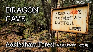 Exploring Aokigahara Forest (AKA Suicide Forest) Dragon Cave | 青木ヶ原樹海