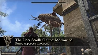ESO: Morrowind - Видео игрового процесса
