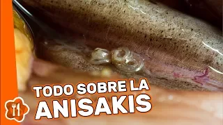 Todo lo que debes saber sobre la anisakis