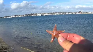 Pêche surfcasting en bretagne