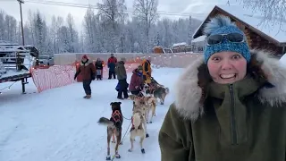 Mushers Eric Kelly & Matt Paveglio Official Live Coverage - 2022 Willow 300 Sled Dog Race