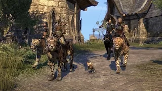 The Elder Scrolls Online: Tamriel Unlimited - Day One In Tamriel (PEGI)