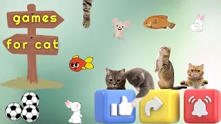 VIDEO FOR CATS - Collection of fun games 🙀 3D | 4K 🔴 60FPS [Cat TV]