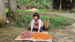 The poor girl went to the forest to pick chicken eggs and wild grapes to sell to make a living