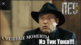 Смешные видео из Тик Тока с Гнездиловым #1!!! Пёс РЖАКА!!!