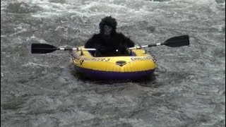 RAFTING BIGFOOT CAUGHT ON TAPE