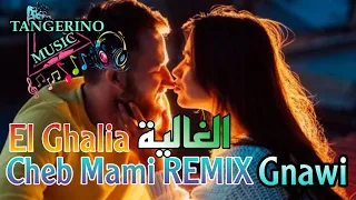 ☯ Cheb Mami ft Gnawi REMIX | الغالية | El Ghalia 🎵