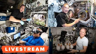 WATCH: SpaceX Crew-1 Night Splashdown! - Livestream