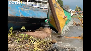 Kisumu's fishmongers transform waste into wealth