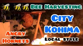 Harvesting Hornets 🐝 in Kohima City