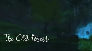 LOTRO Ambience - The Old Forest