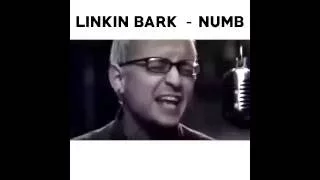 Исполнение собаками Linkin Park!!!