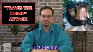 Analysis of "Travis the Chimp" | Who Was Responsible for the Attack?