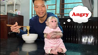 Can't eat noodles! Baby Monkey NANA is angry with her father