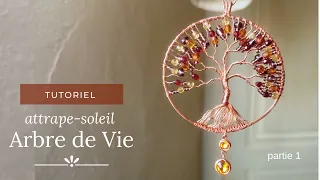 Attrape Soleil Arbre de Vie  partie 1