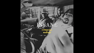 (free) Cypress Hill Type Boom Bap Beat | "INSANE" | Underground Old School Boom Bap