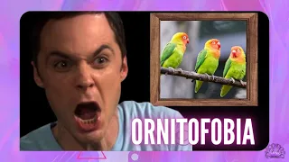 Ornithophobia or fear of birds. Causes, symptoms and treatment.