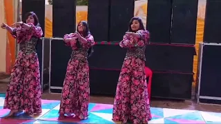 Nikita Sharma , Anamika Sharma , vrsha sharma, ll full video dance ll pura London thumakda song ll