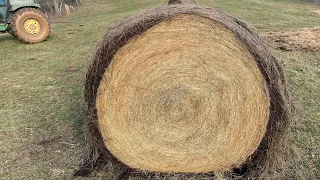 KRONE BALE vs. DEERE BALE