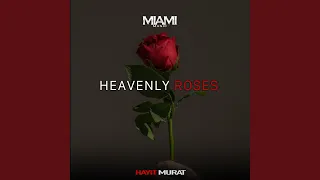 Heavenly Roses