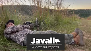 Caçada de javali - A arte da espera.