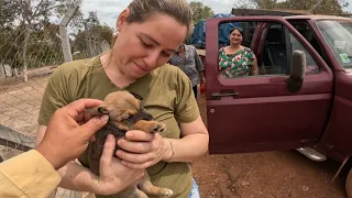 UM NOVO INTEGRANTE DA FAMÍLIA CHAMDO PAÇOCA!! VIDA NA ROÇA.