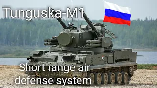 Tunguska M1 | Tunguska | Tunguska-M1 short range air defense system.