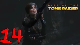 Rise of the Tomb Raider. Прохождение. Часть 14 (Получай пулю) 60fps