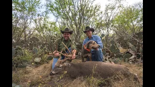 180" Free Range Texas Whitetail Buck