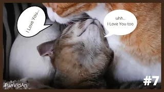 Funny😂 and Cute Cat😸 Videos 2021 | Try not to Laugh or Grin Challenge #7